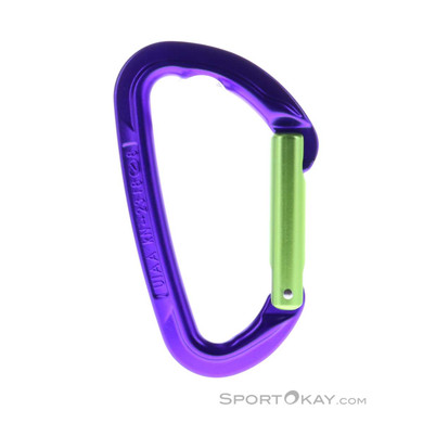 Wild Country Session Straight Gate Carabiner