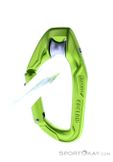 Edelrid Axiom Slider Schnappkarabiner, Edelrid, Green, , Male,Female,Unisex, 0084-10407, 5637958727, 4028545137971, N2-12.jpg