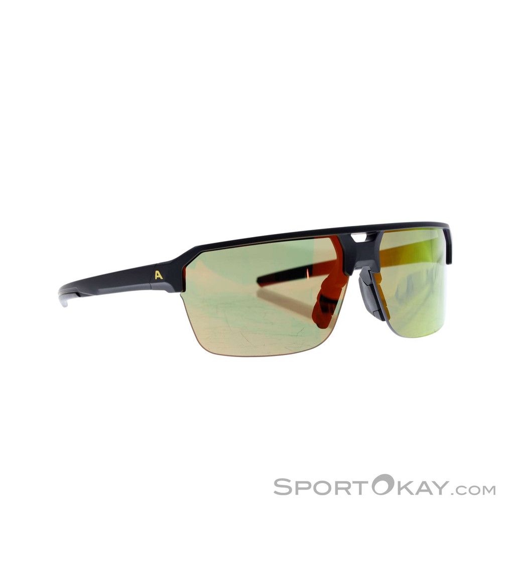 Alpina Swift HR Sunglasses