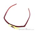 Dynafit Ultra Evo Sunglasses, Dynafit, Dark-Red, , Male,Female,Unisex, 0015-11488, 5638121086, 4046402088853, N4-04.jpg