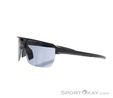 Alpina Swift HR Sunglasses, Alpina, Anthracite, , Male,Female,Unisex, 0027-10257, 5638323563, 4003692327314, N1-06.jpg