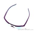 Dynafit Ultra Evo Sunglasses, Dynafit, Purple, , Male,Female,Unisex, 0015-11488, 5638121084, 4046402089768, N4-04.jpg