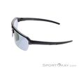 Alpina Swift HR Sunglasses, Alpina, Anthracite, , Male,Female,Unisex, 0027-10257, 5638323563, 4003692327314, N2-07.jpg