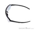 Alpina Swift HR Sunglasses, Alpina, Anthracite, , Male,Female,Unisex, 0027-10257, 5638323563, 4003692327314, N3-08.jpg