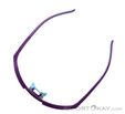 Dynafit Ultra Evo Sunglasses, Dynafit, Purple, , Male,Female,Unisex, 0015-11488, 5638121084, 4046402089768, N5-05.jpg