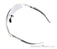 Dynafit Ultra Evo Sunglasses, Dynafit, Light-Gray, , Male,Female,Unisex, 0015-11488, 5638121087, 4046402089782, N4-09.jpg
