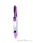 Petzl Djinn Bent Gate Schnappkarabiner, Petzl, Lila, , Herren,Damen,Unisex, 0074-10436, 5638062468, 3342540841529, N1-06.jpg