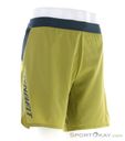 Dynafit Alpine Pro 2in1 Herren Laufshort, Dynafit, Oliv-Dunkelgrün, , Herren, 0015-11535, 5638045492, 4053866511094, N1-01.jpg