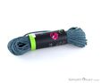 Edelrid Starling Protect Pro Dry 8,2mm 50m Kletterseil, Edelrid, Türkis, , , 0084-10320, 5637876305, 4028545136752, N2-12.jpg