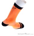 Dynafit Ultra Cushion Socks Running Socks, Dynafit, Orange, , Male,Female, 0015-11280, 5637993096, 4053865710009, N3-18.jpg