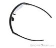 Alpina Swift HR Sunglasses, Alpina, Anthracite, , Male,Female,Unisex, 0027-10257, 5638323563, 4003692327314, N4-09.jpg