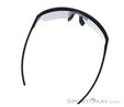 Alpina Swift HR Sunglasses, Alpina, Anthracite, , Male,Female,Unisex, 0027-10257, 5638323563, 4003692327314, N4-14.jpg