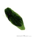 Exped Mira II HL Zeltunterlage, Exped, Light-Green, , , 0098-10348, 5637994632, 7640445457187, N4-14.jpg