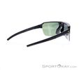 Alpina Swift HR Sunglasses, Alpina, Black, , Male,Female,Unisex, 0027-10257, 5638253410, 4003692327277, N1-16.jpg