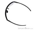 Alpina Swift HR Sunglasses, Alpina, Black, , Male,Female,Unisex, 0027-10257, 5638253410, 4003692327277, N4-09.jpg