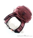 Ortovox Ravine 26l S Tourenrucksack, Ortovox, Lila, , Herren,Damen,Unisex, 0016-11895, 5638117658, 4251877761372, N5-15.jpg