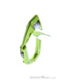 Edelrid Axiom Slider Schnappkarabiner, Edelrid, Green, , Male,Female,Unisex, 0084-10407, 5637958727, 4028545137971, N3-08.jpg
