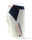 Dynafit Alpine Pro 2in1 Herren Laufshort, Dynafit, Beige, , Herren, 0015-11535, 5638090419, 4053866580601, N2-17.jpg