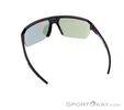 Alpina Swift HR Sunglasses, Alpina, Black, , Male,Female,Unisex, 0027-10257, 5638253410, 4003692327277, N2-12.jpg