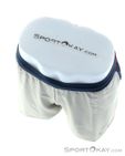 Dynafit Alpine Pro 2in1 Herren Laufshort, Dynafit, Beige, , Herren, 0015-11535, 5638090419, 4053866580601, N4-04.jpg