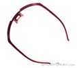 Dynafit Ultra Evo Sunglasses, Dynafit, Dark-Red, , Male,Female,Unisex, 0015-11488, 5638121086, 4046402088853, N5-10.jpg