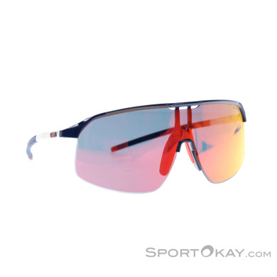 Julbo Density Sunglasses
