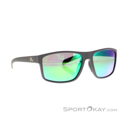 Alpina Nacan I Sonnenbrille-Grau-One Size