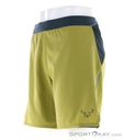 Dynafit Alpine Pro 2in1 Herren Laufshort, Dynafit, Oliv-Dunkelgrün, , Herren, 0015-11535, 5638045492, 4053866511094, N1-06.jpg