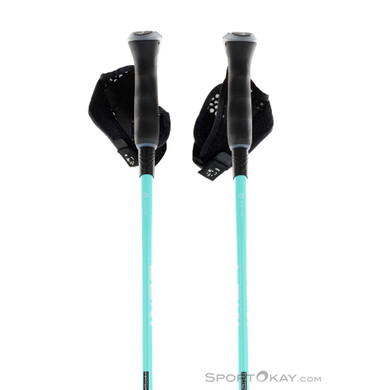 Leki Artena Airfoil 3D Damen Skistöcke-Anthrazit-115