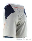 Dynafit Alpine Pro 2in1 Herren Laufshort, Dynafit, Beige, , Herren, 0015-11535, 5638090419, 4053866580601, N1-11.jpg