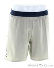 Dynafit Alpine Pro 2in1 Herren Laufshort, Dynafit, Beige, , Herren, 0015-11535, 5638090419, 4053866580601, N2-02.jpg