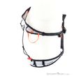 Mammut Aenergy Klettergurt, Mammut, Weiss, , Herren,Damen,Unisex, 0014-11955, 5638307145, 7619876461414, N3-18.jpg