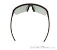 Alpina Swift HR Sunglasses, Alpina, Black, , Male,Female,Unisex, 0027-10257, 5638253410, 4003692327277, N3-13.jpg