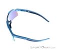 Dynafit Ultra Evo Sunglasses, Dynafit, Multicolored, , Male,Female,Unisex, 0015-11488, 5638121083, 4046402089775, N3-08.jpg