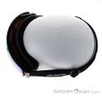 Alpina Big Horn Q Ski Goggles, Alpina, Black, , Male,Female,Unisex, 0027-10236, 5638131678, 4003692296061, N4-09.jpg