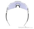 Dynafit Ultra Evo Sunglasses, Dynafit, Light-Gray, , Male,Female,Unisex, 0015-11488, 5638121087, 4046402089782, N3-13.jpg