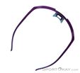 Dynafit Ultra Evo Sunglasses, Dynafit, Purple, , Male,Female,Unisex, 0015-11488, 5638121084, 4046402089768, N5-15.jpg