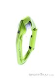 Edelrid Axiom Slider Schnappkarabiner, Edelrid, Green, , Male,Female,Unisex, 0084-10407, 5637958727, 4028545137971, N3-18.jpg