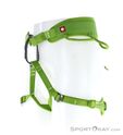 Ocun Twist Klettergurt, Ocun, Green, , , 0290-10144, 5637856718, 8591804667114, N1-06.jpg