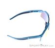 Dynafit Ultra Evo Sunglasses, Dynafit, Multicolored, , Male,Female,Unisex, 0015-11488, 5638121083, 4046402089775, N3-18.jpg