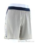 Dynafit Alpine Pro 2in1 Herren Laufshort, Dynafit, Beige, , Herren, 0015-11535, 5638090419, 4053866580601, N1-01.jpg