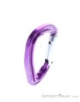 Petzl Djinn Bent Gate Schnappkarabiner, Petzl, Lila, , Herren,Damen,Unisex, 0074-10436, 5638062468, 3342540841529, N3-18.jpg