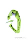Edelrid Axiom Slider Schnappkarabiner, Edelrid, Green, , Male,Female,Unisex, 0084-10407, 5637958727, 4028545137971, N3-13.jpg