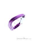 Petzl Djinn Bent Gate Schnappkarabiner, Petzl, Lila, , Herren,Damen,Unisex, 0074-10436, 5638062468, 3342540841529, N4-19.jpg