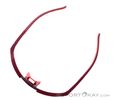 Dynafit Ultra Evo Sunglasses, Dynafit, Dark-Red, , Male,Female,Unisex, 0015-11488, 5638121086, 4046402088853, N5-05.jpg