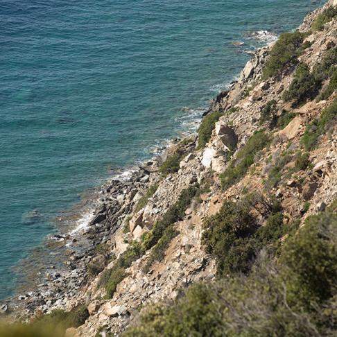 Northwave | ALL | Bild | 2026-02 | Bike