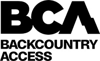 BCA