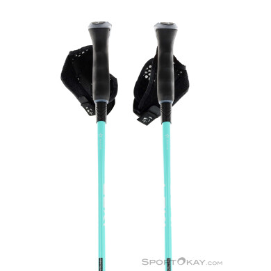 Leki Artena Airfoil 3D Damen Skistöcke-Anthrazit-110