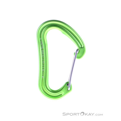 Edelrid Nineteen G Schnappkarabiner-Hell-Grün-One Size