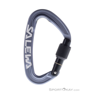 Salewa Ortles Screw Schraubkarabiner-Grau-One Size